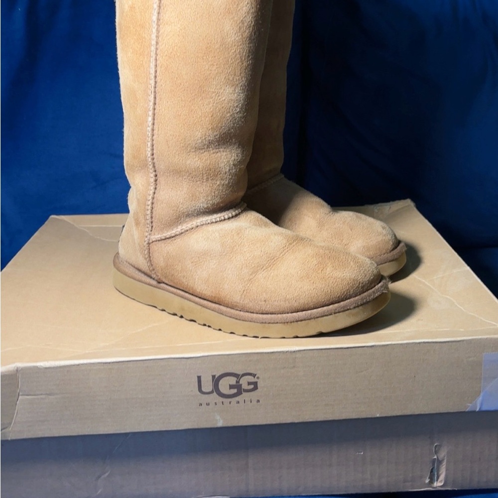 Women’s UGG Tall Chestnut Boots